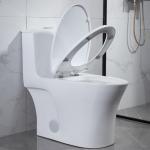 Dual Flush One Piece Elongated Toilet Matt Black S Trap