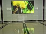 P1.86 HD LED Video Wall 320*160mm Indoor Led Display Screen 500cd/Sqm