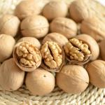 Wholesale Chinese xinjiang akhrot walnut in shell with high quality walnuts