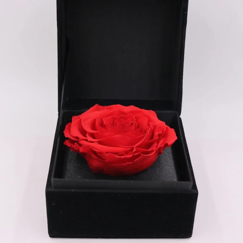 Ecuador Eternal rose luxury gift 10cm preserved rose in Velvet box preserved rose