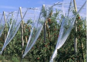Wholesale HDPE Single Filament Insect Mesh Netting For Nursery Pots Size Customized from china suppliers