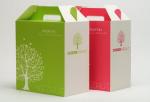 Food delivery box flexo pritning environment protection competitive price