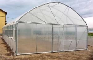 Wholesale Garden Walk In 4 Shelves&amp; Reinforced PE Cover green houses,Agriculture Farm Commercial Plastic PE Film Multi Spans Green from china suppliers