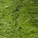 Tpe Rubber Granule Golf Artificial Grass Carpet 50mm Pile Height 5500 Dtex
