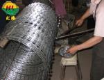 Hot Dipped Galvanized Security Razor Barbed Wire Fencing For Prison