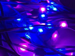 Wholesale Outdoor LED Eaves Light Kit with Controller for Holiday Decoration from china suppliers