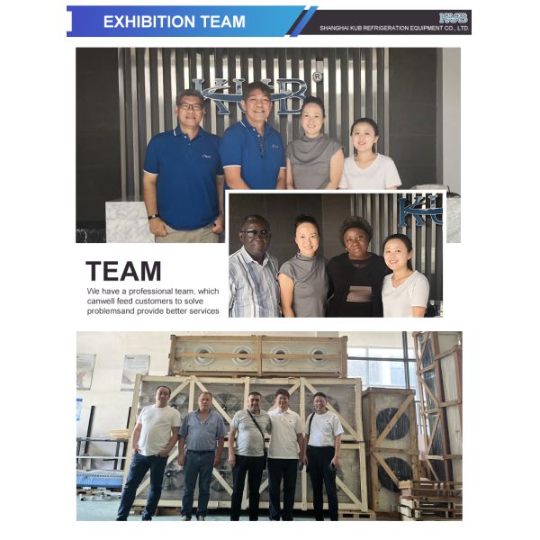 11000W Cooling Capacity 380V 50HZ 3PH Air Cooler with 1 Year Warranty for Cold Storage Applications