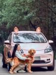 Changan Benben E-Star Electric Car 2023 Model 5 Door 5 Seats Pure Electric 75HP