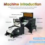 17inch DTF PET Film Printer Machine equipped with XP600 Print Head and Auto