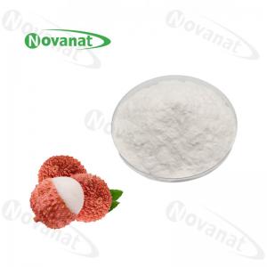 China Lychee Powder Fruit Vegetable Powder Pure Flavor / Water Soluble / Clean Label on sale