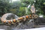 Remote Control Lifelike Animatronic Snake Boa Constrictor 110 / 220V AC Powered