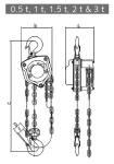 G100 Chain Block Lifting