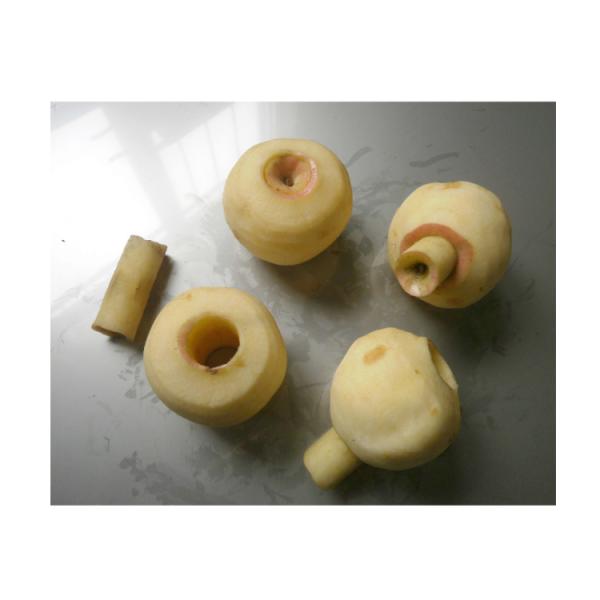 Skin Peeler Removal Coring And Separating Machine Apple Peeling Core Slicing Machine