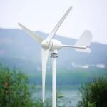 3kw 5kw 10kw Off Grid Home Wind Solar Hybrid Power System Sustainable Energy