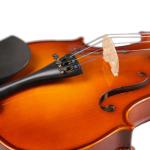 professional grade Violin Flame Maple Violin For Sale German old violin 4/4