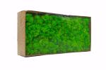 Preserved Moss wall decoration interior decoration beautiful stabilized
