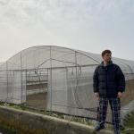 Plants Planting Agriculture Standard Plastic Film 8m 60m Pe Film Single Span