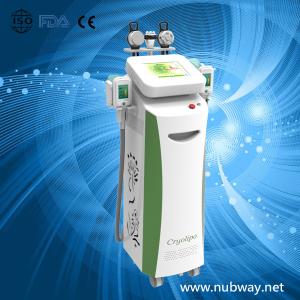 Wholesale Vertical amazing result cryolipolysis machine for weight loss to losing weight from china suppliers