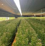 30 Day Return Refunds for Water Pipe Agricultural System in Commercial