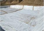 Geomebrane Liner Composite Geotextile for Landfill and Reservoir Anti-Seepage