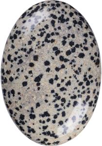 Wholesale Natural Polished Dalmatian Jasper Palm Stone Oval Shaped Dalmatian Crystal Energy Stone for Buildings Decoration from china suppliers
