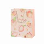 High End Customized Favor Fruie Printing Gift Bags For Shopping