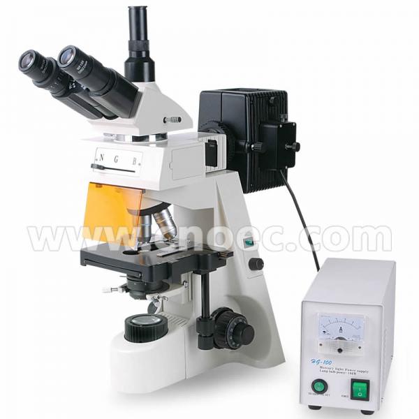 Quality Compensation Free Fluorescence Microscope For Learning A16.1103 for sale