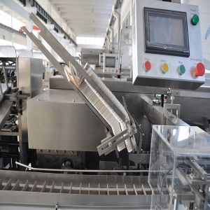 Continuous Soap Automatic Cartoning Machine Horizontal High Speed