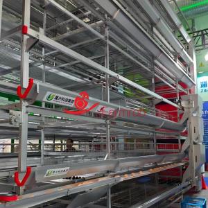 Wholesale 30000 Layer Cage System with Suitable Temperature in Saudi Arabia from china suppliers