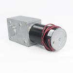 Carbon Brush DC Worm Gear Motors 24V High Torque Self Locking 195rpm