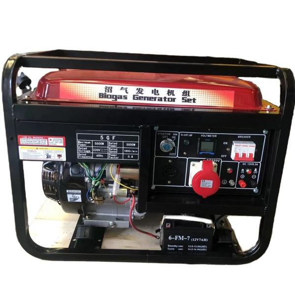 Portable 2-20kva Mini Inverter Dual Fuel Generator for Home and Outdoor