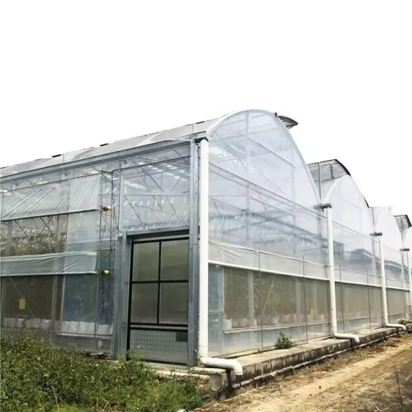 Agricultural Polyhouse Multi-span Plastic UV Film Greenhouse Drying House For
