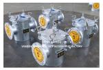 Model AS125 CBM1061 PN0.2 Sea Water Filters & Sea Water Strainers-FEIHANG SHIP