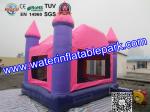 Pink Princess Inflatable Bouncy Castle , Park Inflatable Castle