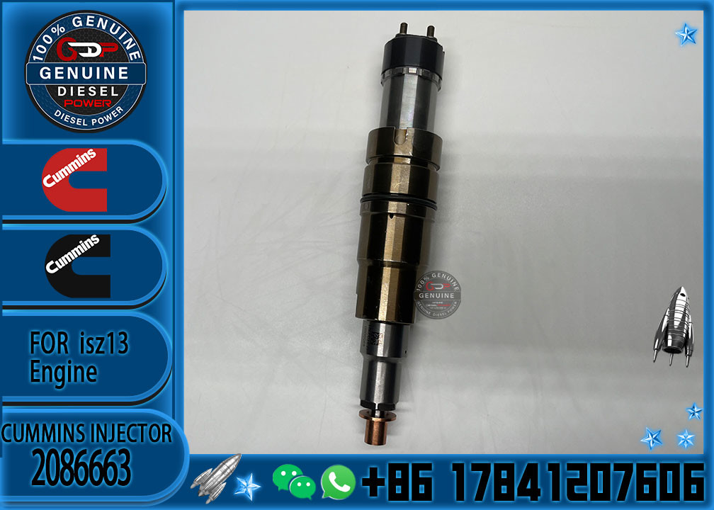 2029622 Genuine Diesel Common Rail Fuel Injector 1948565 2030519 2031836 2031835 2086663