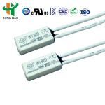 BH-TB02B-B8D Mini Thermal Protector Thermostat Switch 250V 2A