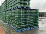 Siemens Motor Plastic Strap Packing Machine 9 - 32mm PET Strap Manufacturing