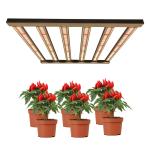 3x3 Dimmable Lm301b Lm301h LED Grow Light For Indoor Medicinal Plants