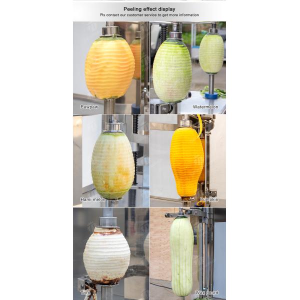 papaya chieh-qua pumpkin wax gourd pineapple Vegetable Vertical double cutter peeling machine processing production