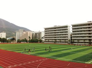 Wholesale Gardens / Football Artificial Turf Fake Grass Mats Anti-aging Environment Friendly from china suppliers
