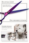 Sharp Special Hairdressing Scissors , Titanium Stainless Steel Hair Scissors