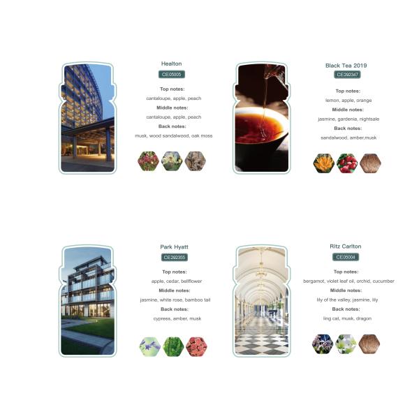 500Ml Diffusers Luxury Pure Waterless Diffuser Essential Oil Diffuser Essential Oil