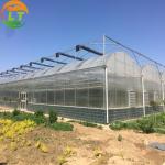 Single Layer Multi-Span Agricultural Greenhouses for Large-Scale Tomato Plant