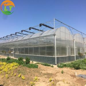 Wholesale Automatic Agricultural Multi-Span Film Greenhouses with Cooling Pad and Exhaust Fans from china suppliers