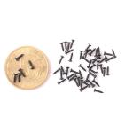 Stainless Steel Mini Screw for Furniture Flat Head Cross Recessed Machine
