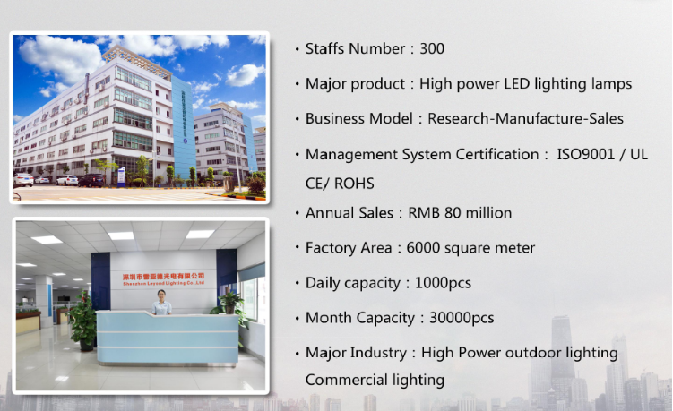 150lm / W LED Street Lighting Pure White With 150 * 65 Degree Beam Angle