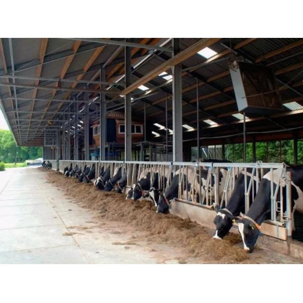 Steel Structure Prefab Poultry House Wind Resistant Pre Engineered Steel Cowshed
