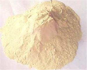Wholesale Vital wheat gluten powder for feed nutrition for aquaculture from china suppliers