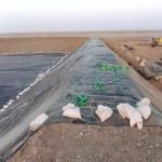 0.5mm Geomembrane HDPE Dam Liner for Contemporary Fish Farm and Shrimp Pond
