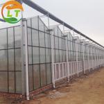 Ventilation System Included Venlo Glass Greenhouse with Galvanized Pipe Steel